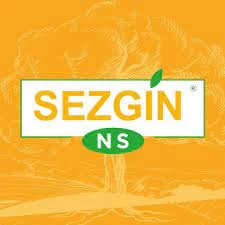 Sezgin